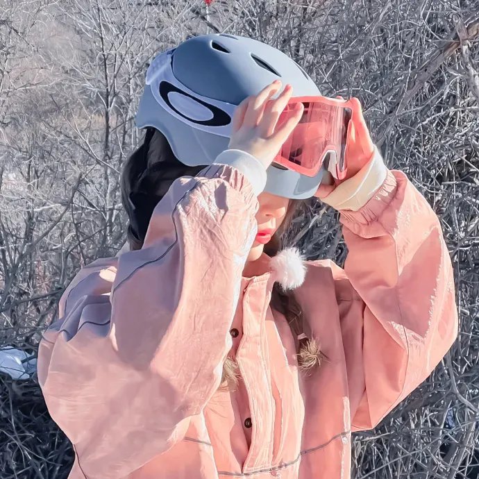 企鹅之岛：福克兰